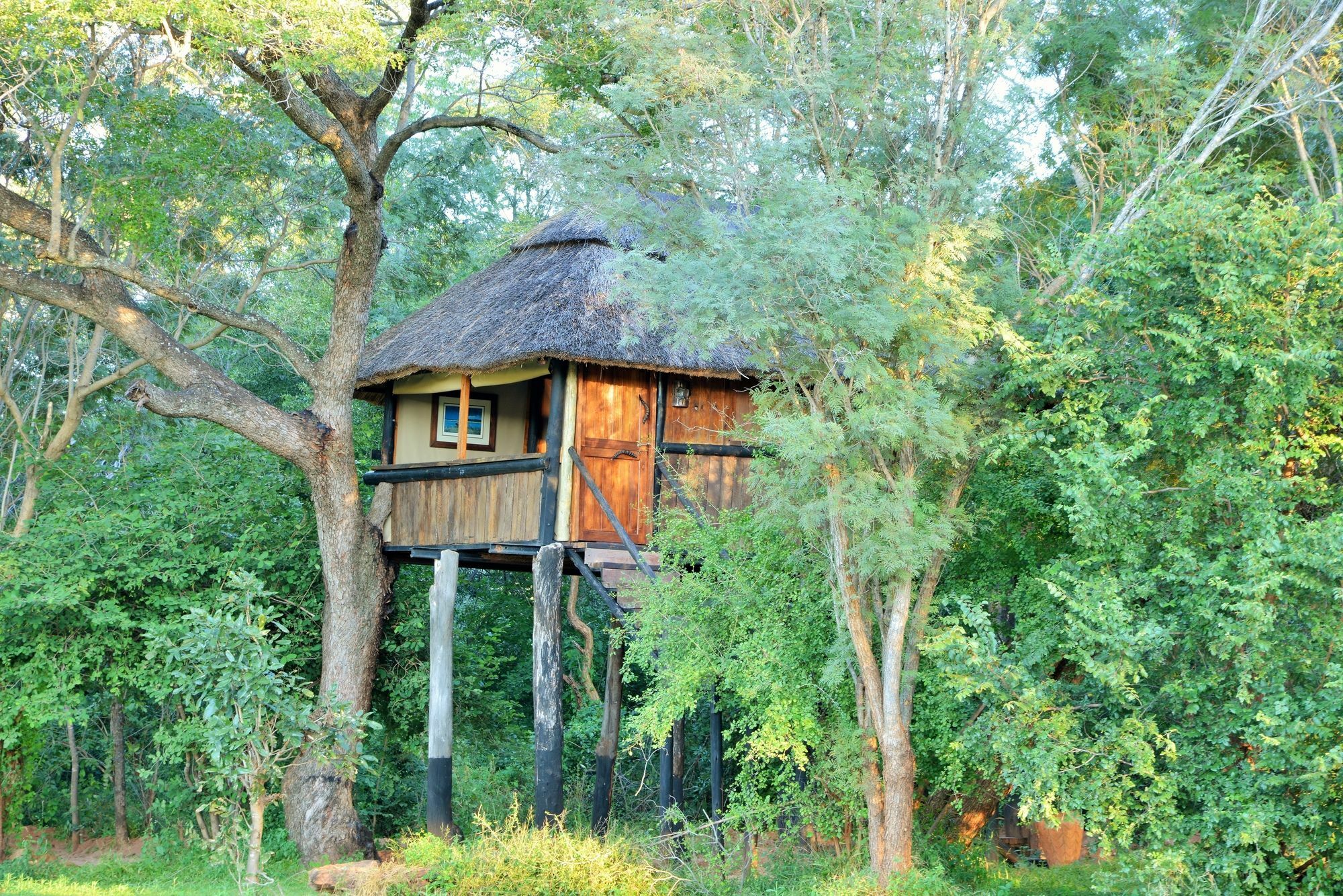Dete Ivory Lodge מראה חיצוני תמונה